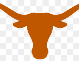 Picture of Texas Longhorns