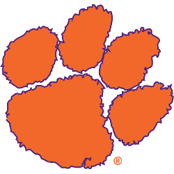 Picture of Clemson Tigers